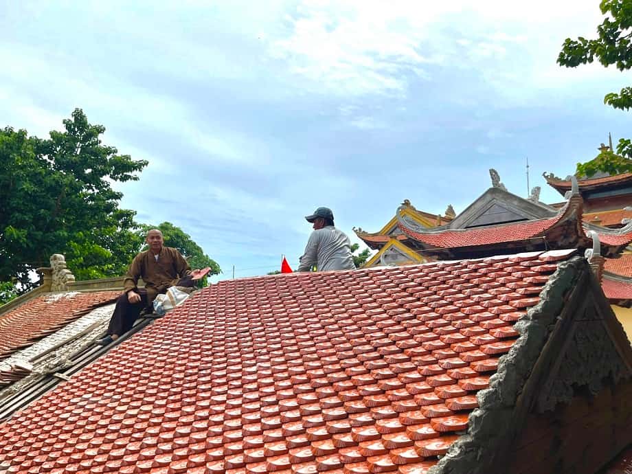 ngoi-mui-hai-la-gi-2