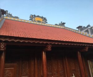 ngoi-mui-hai-la-gi